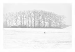 Winterland IV