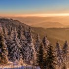Winterland Schwarzwald....