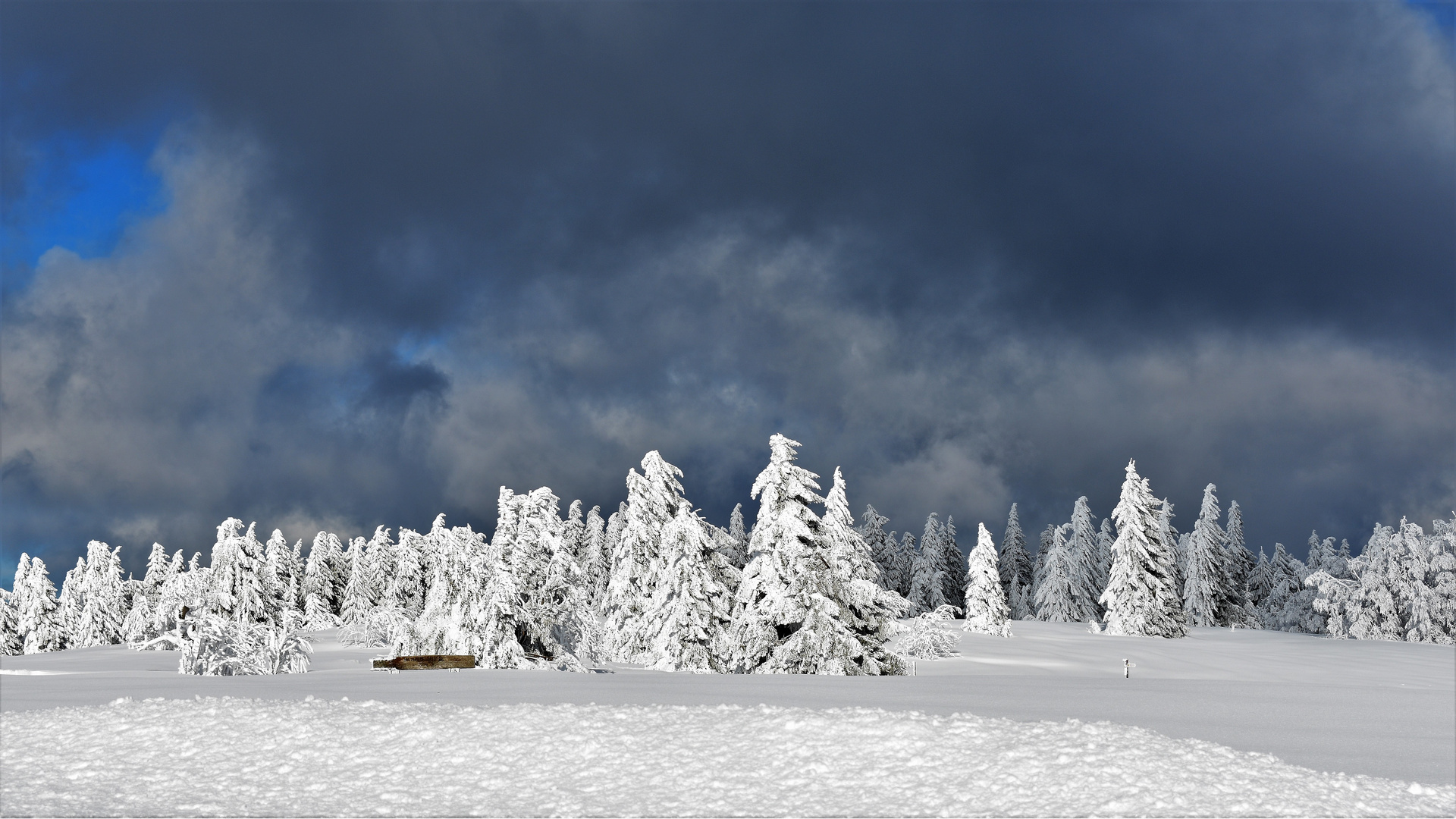 Winterland Schwarzwald