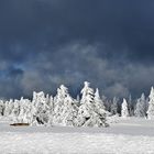 Winterland Schwarzwald