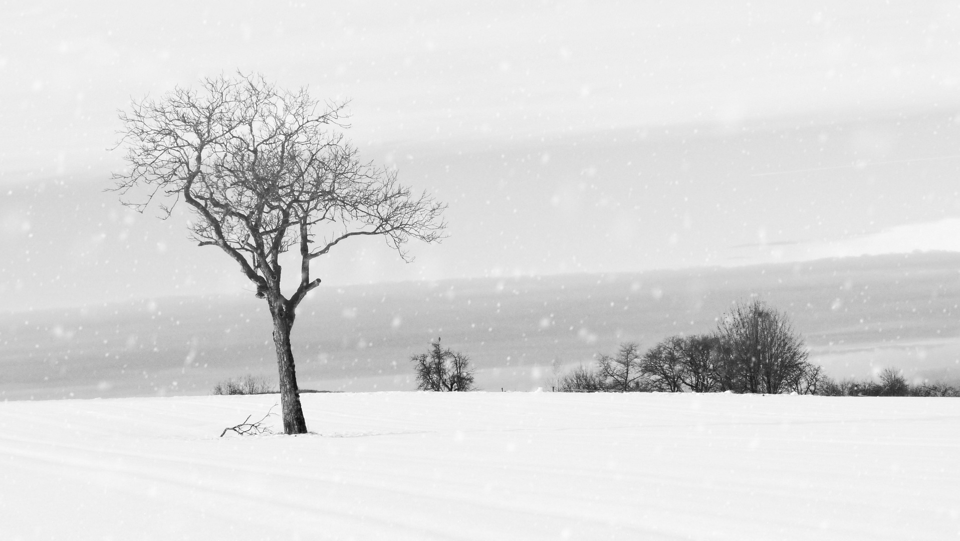 Winterland - Stille streift durch die Wälder