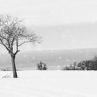 Winterland - Stille streift durch die Wälder