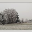 Winterlandchaft