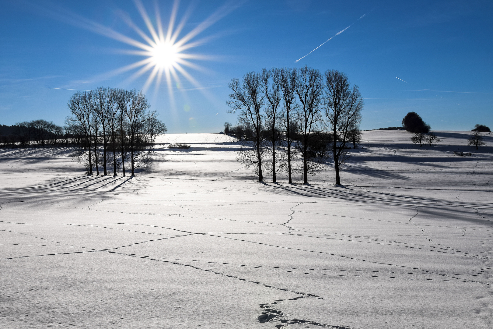 Winterlandscahft