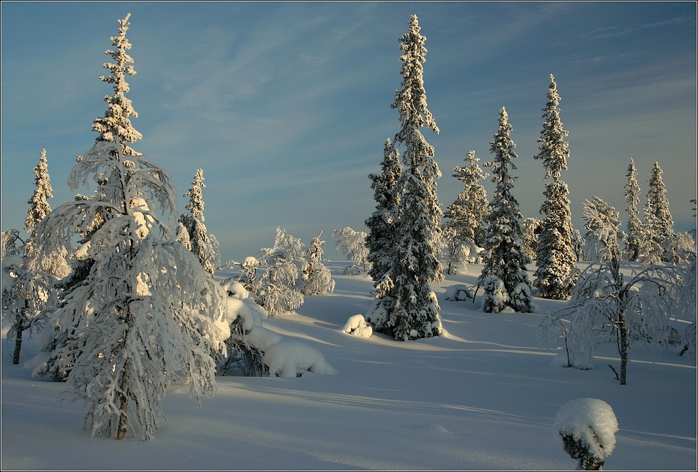 Winter_Landscape_in_Lapland