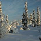 Winter_Landscape_in_Lapland