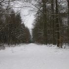 Winterlandschaf im Taunus