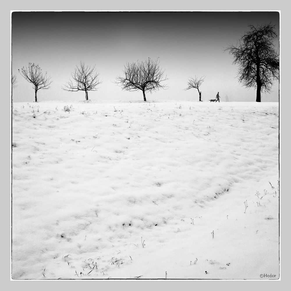 Winterlandschaf   "Projekt Analoge Fotografie"