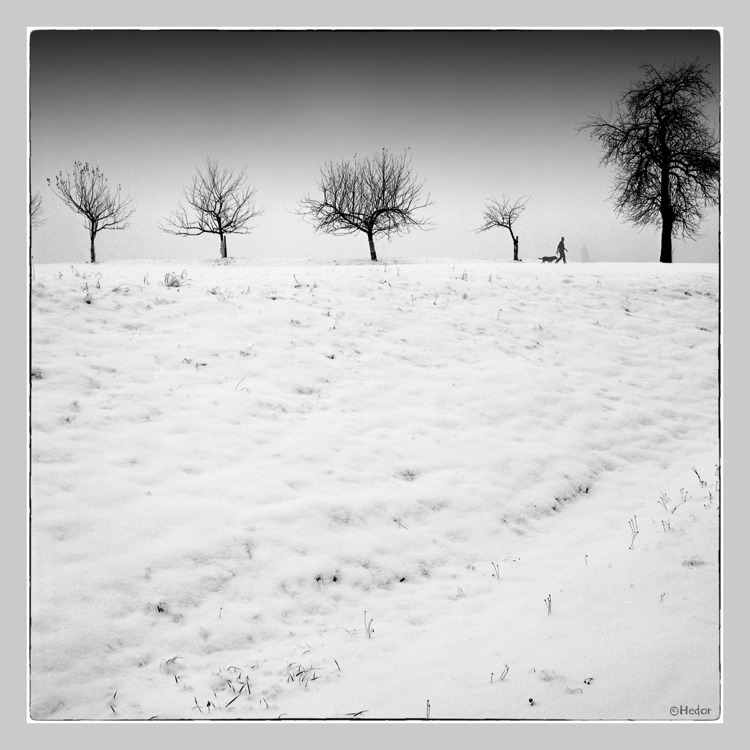 Winterlandschaf   "Projekt Analoge Fotografie"