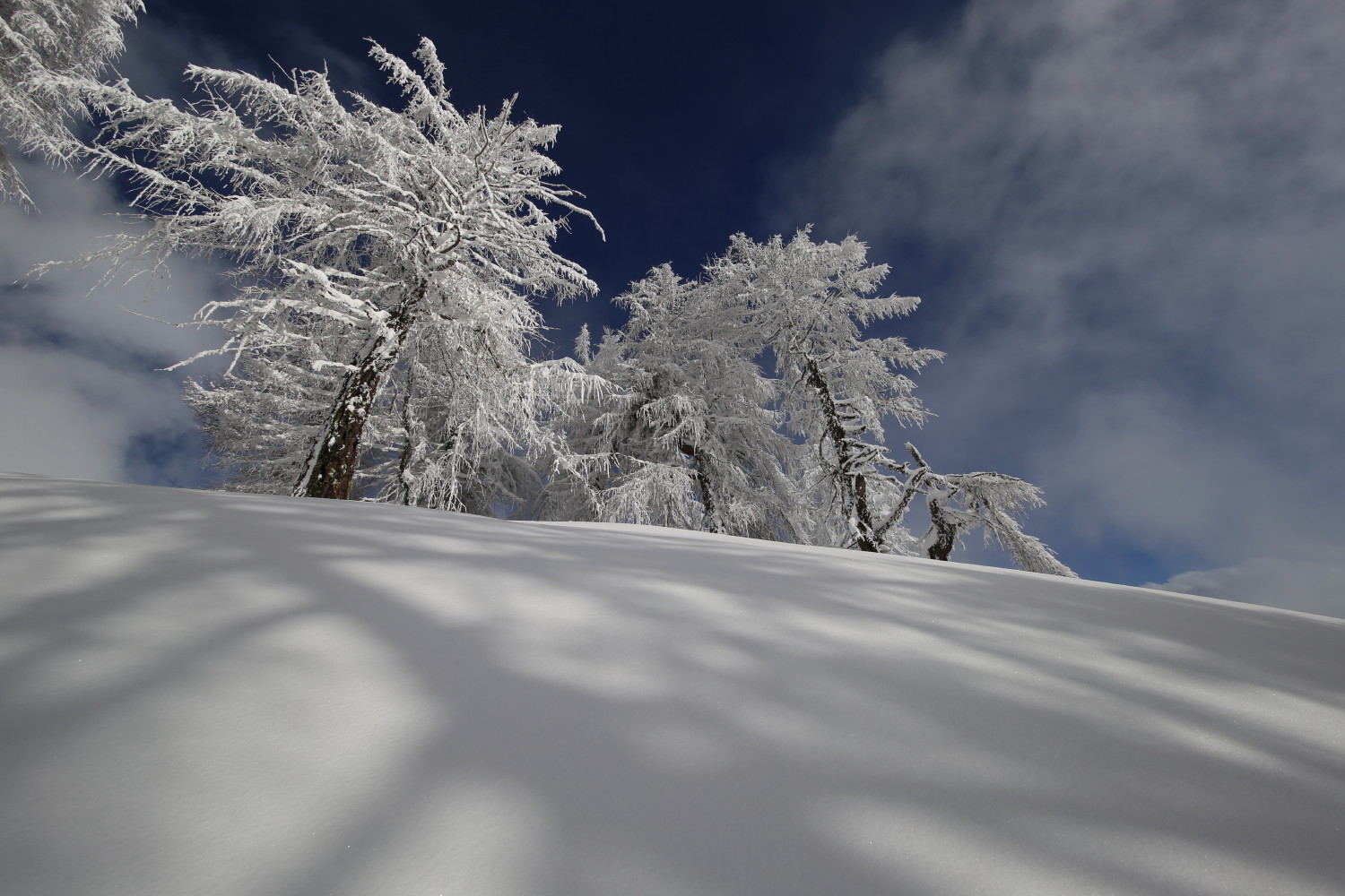 Winterlandschaft