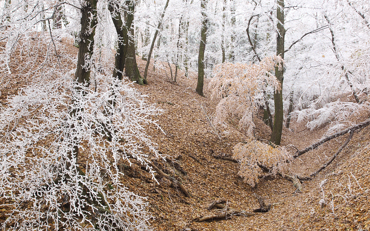 Winterlandschaft 003 Kopie