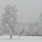 Winterlandschaft 01