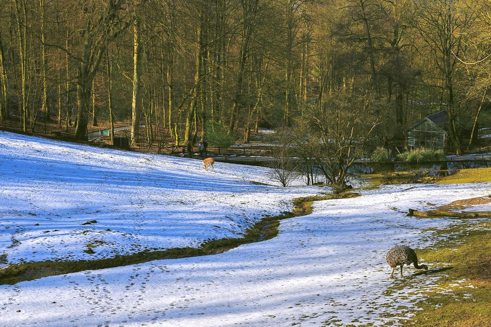 Winterlandschaft