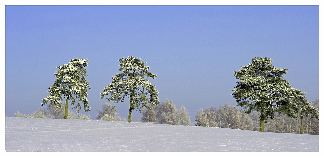 Winterlandschaft