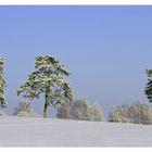 Winterlandschaft