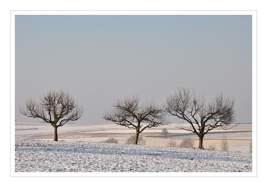 Winterlandschaft