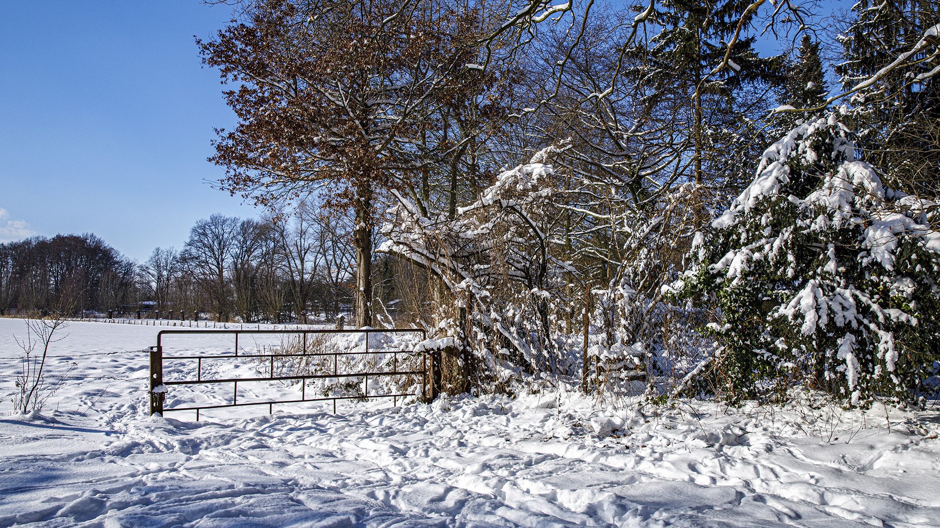 Winterlandschaft 02