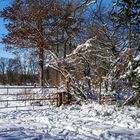 Winterlandschaft 02