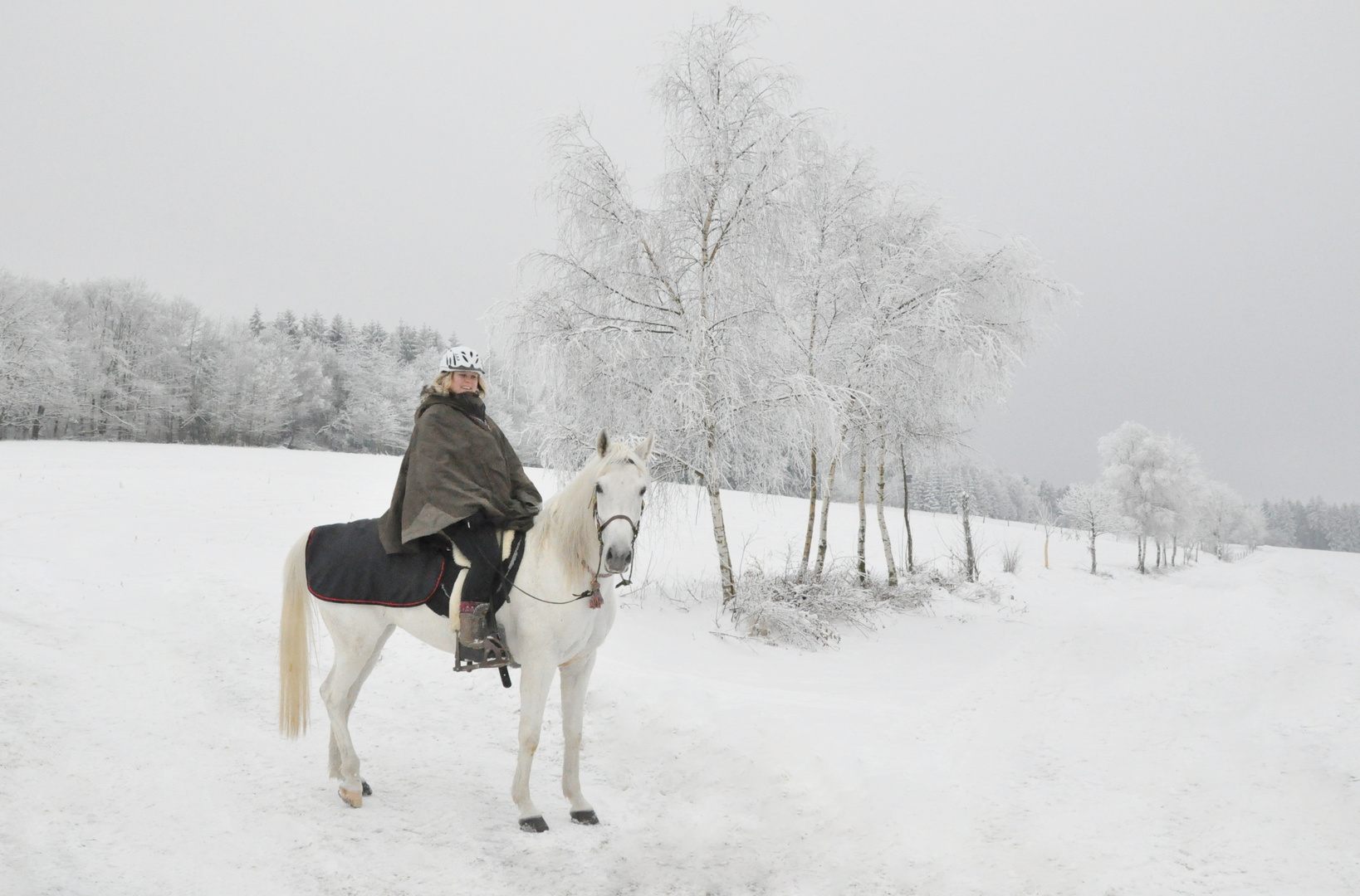 Winterlandschaft 02: Pferd & Reiterin