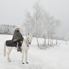 Winterlandschaft 02: Pferd & Reiterin