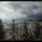 Winterlandschaft