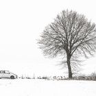 Winterlandschaft