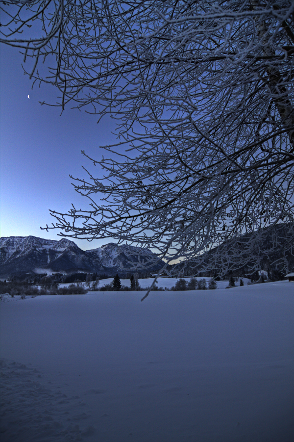 Winterlandschaft