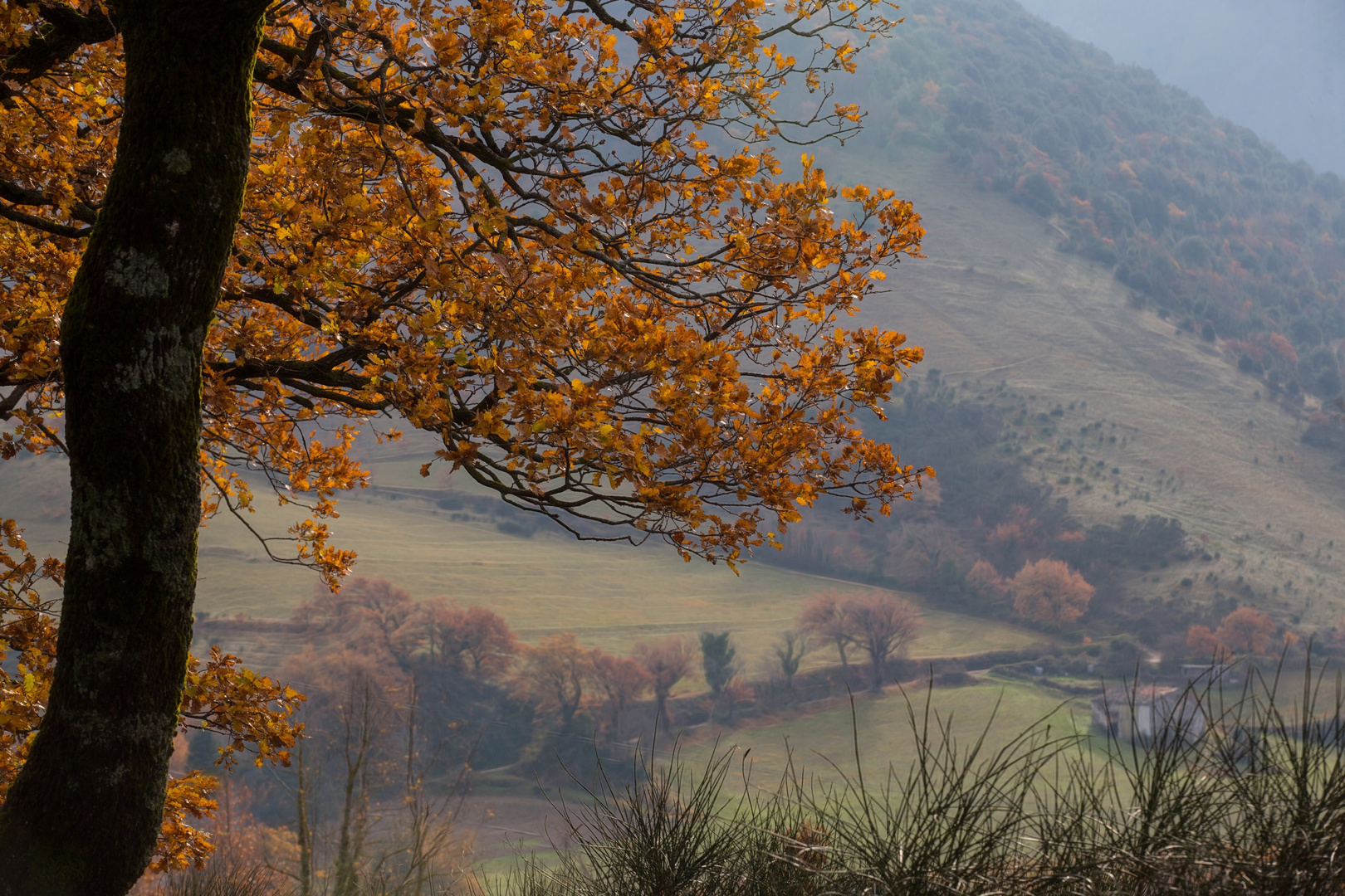 'Winter'landschaft