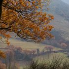 'Winter'landschaft