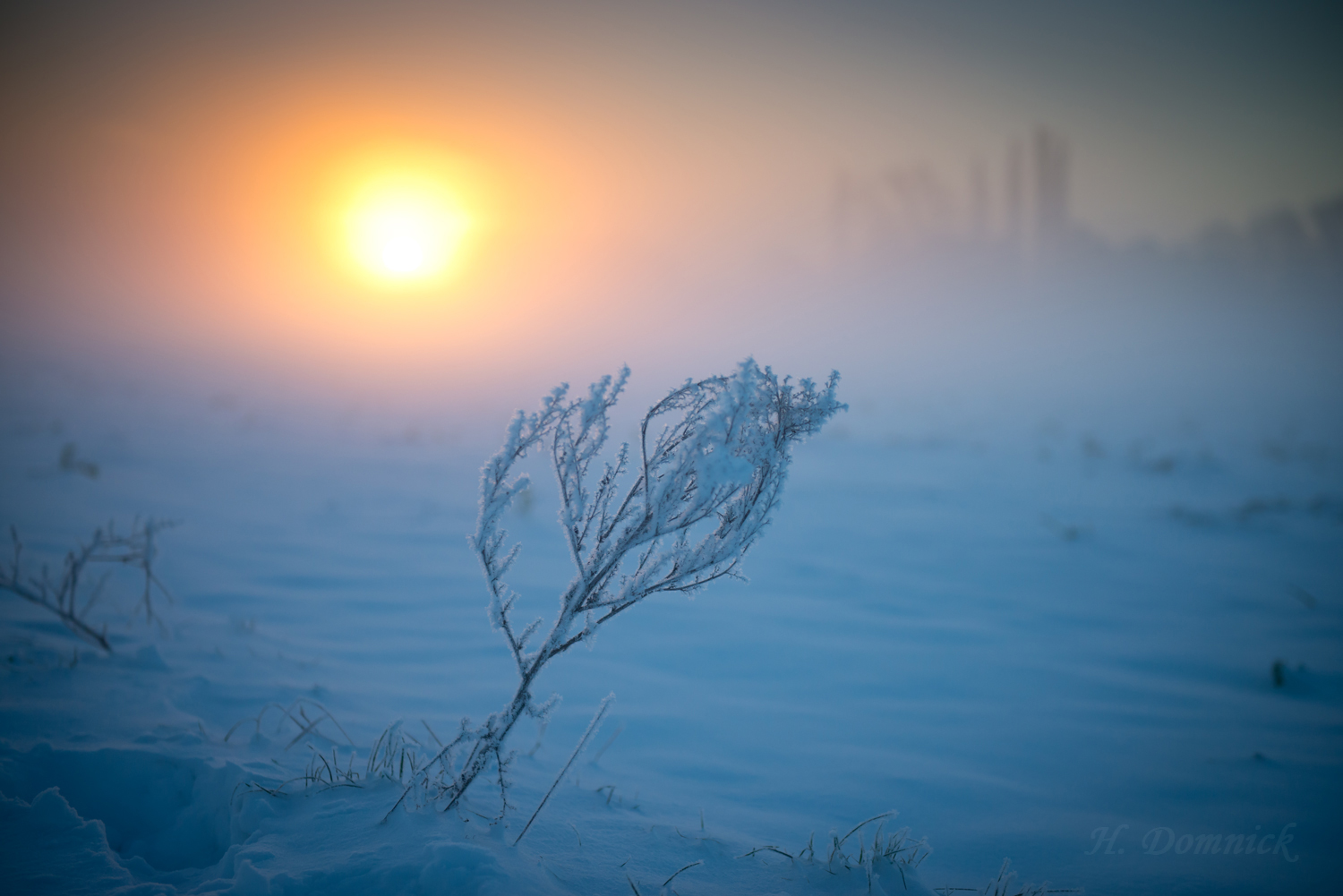 Winterlandschaft