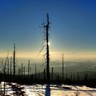 Winterlandschaft