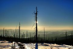 Winterlandschaft