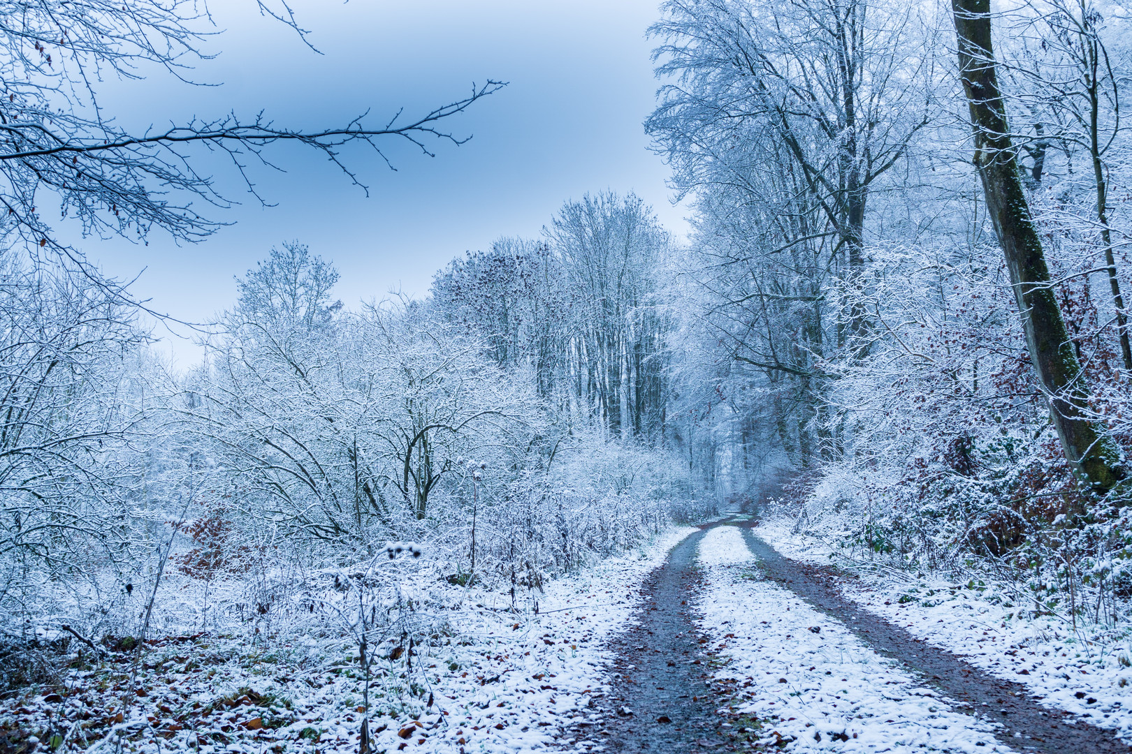 Winterlandschaft