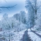 Winterlandschaft