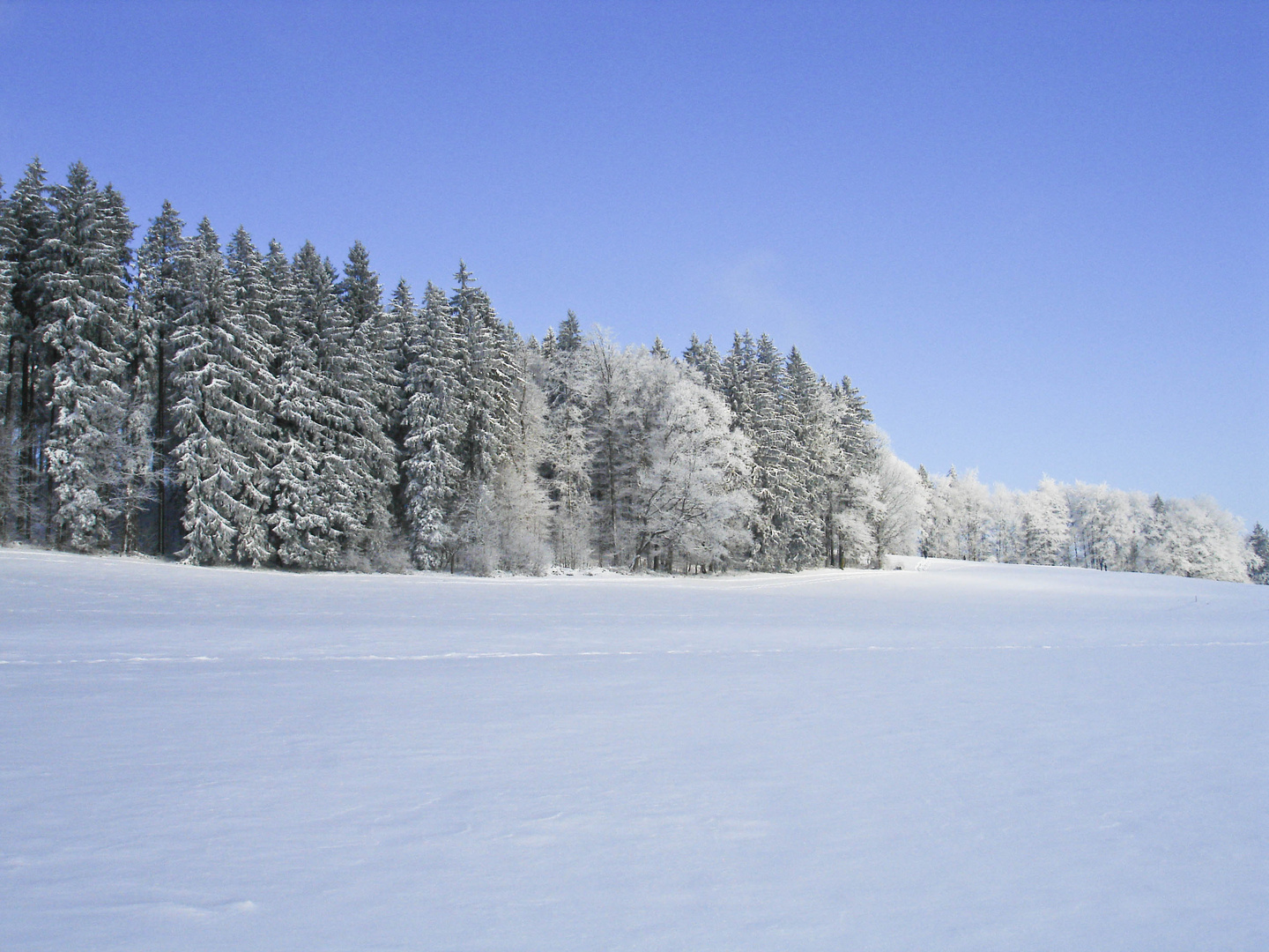 Winterlandschaft