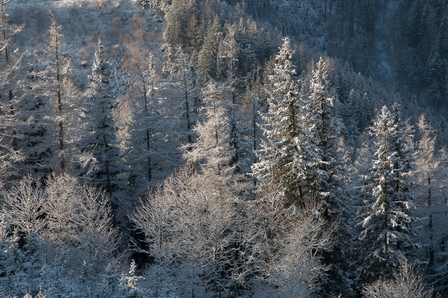 Winterlandschaft