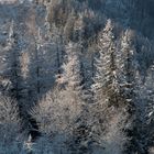 Winterlandschaft