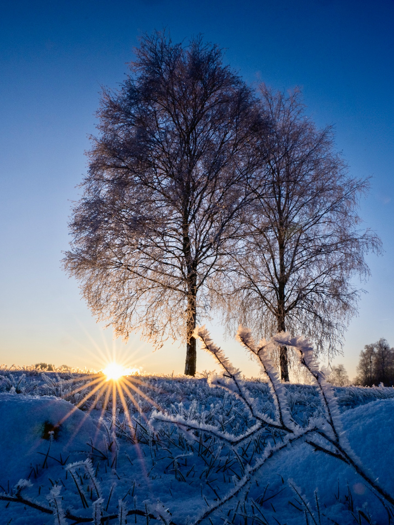 Winterlandschaft