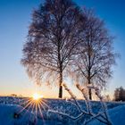 Winterlandschaft