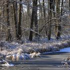 Winterlandschaft