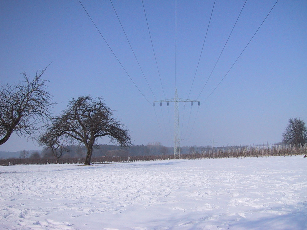 Winterlandschaft