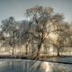 Winterlandschaft