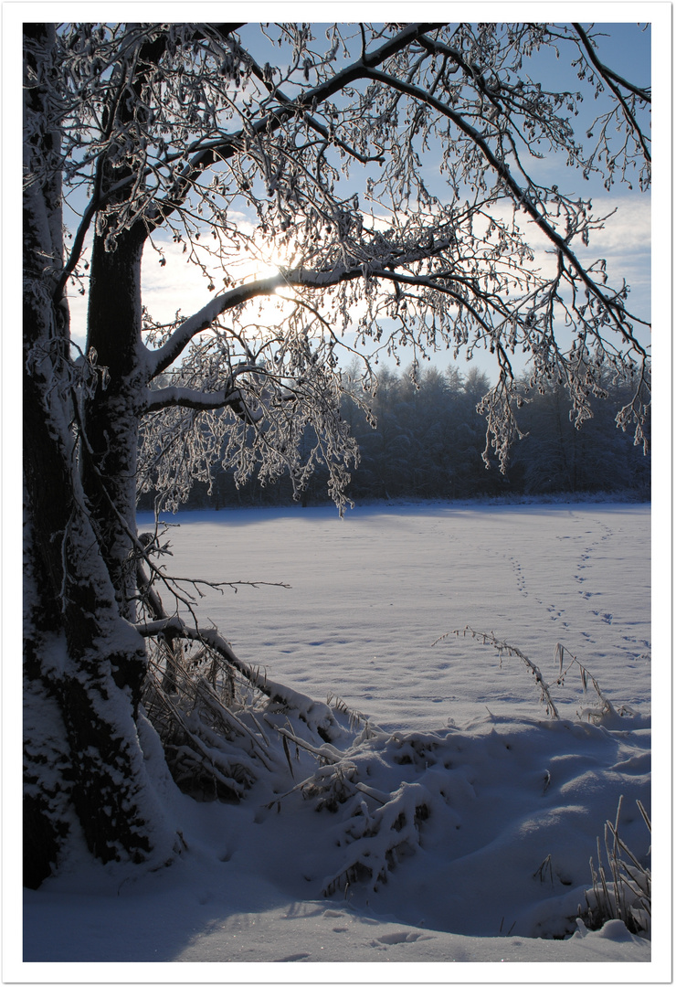 Winterlandschaft