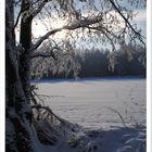 Winterlandschaft