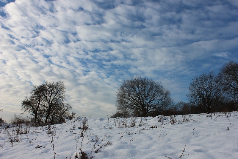 Winterlandschaft