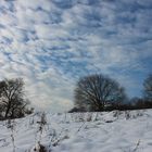 Winterlandschaft