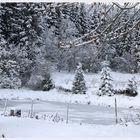 Winterlandschaft