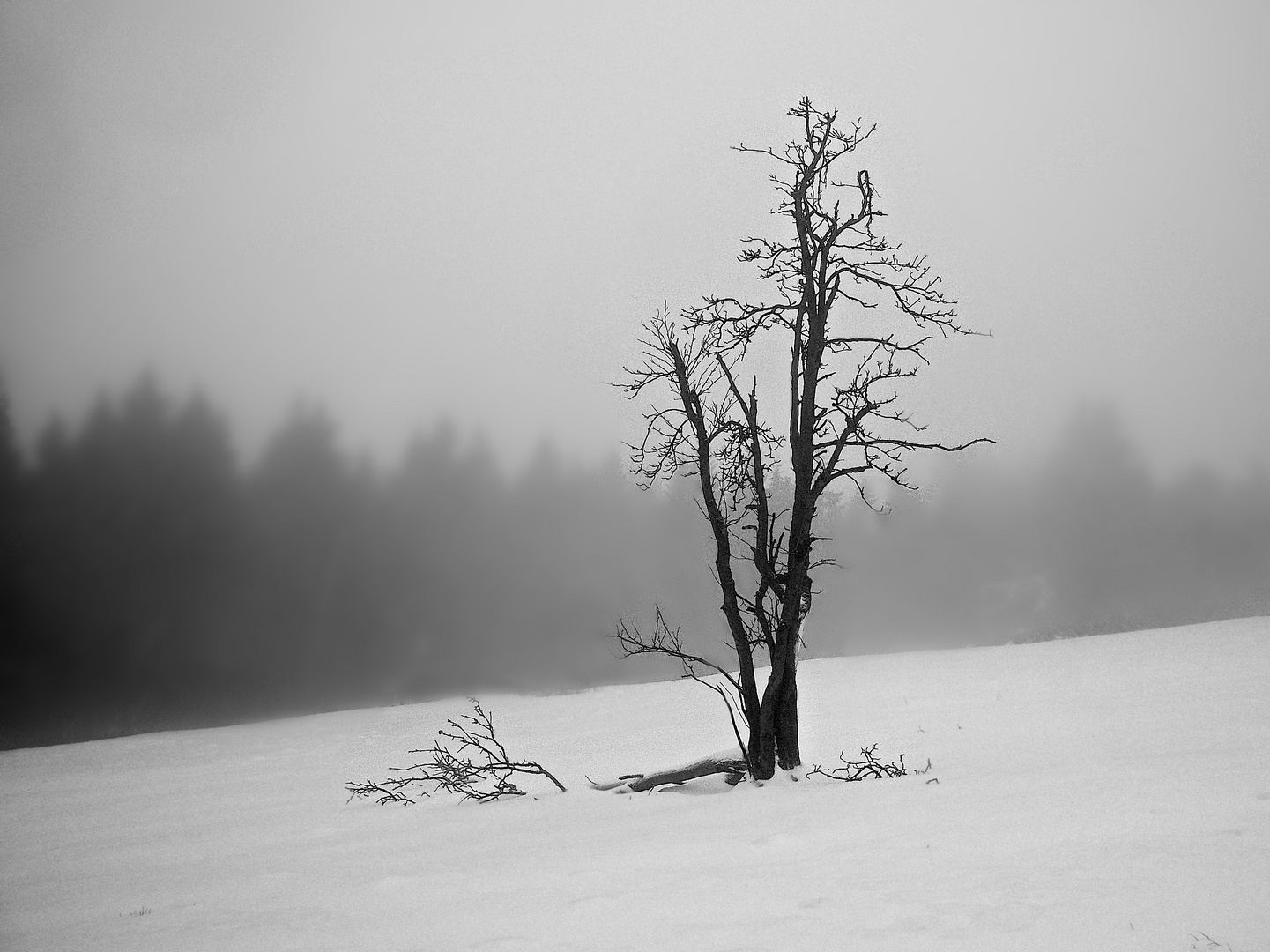 Winterlandschaft