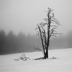 Winterlandschaft