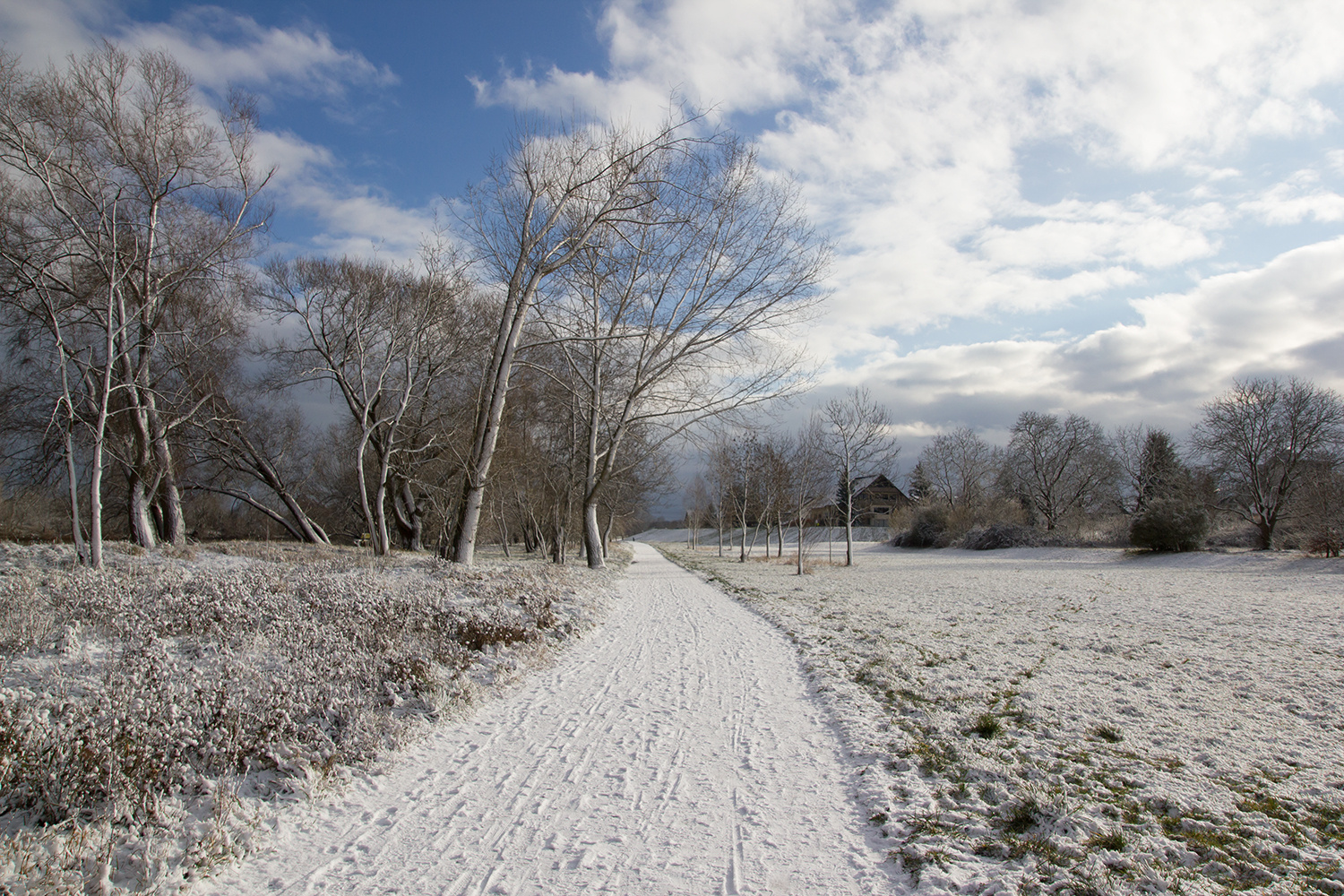 Winterlandschaft